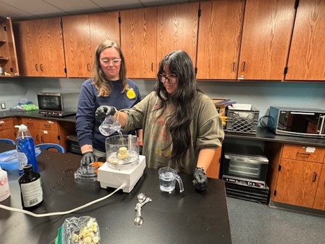 Students working